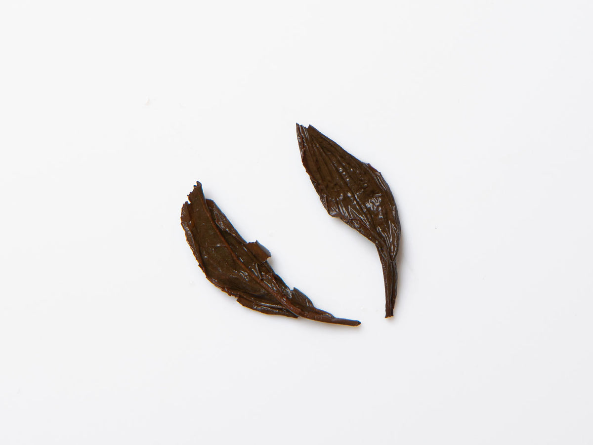 Roaster's Vintage 1990s Aged Oolong