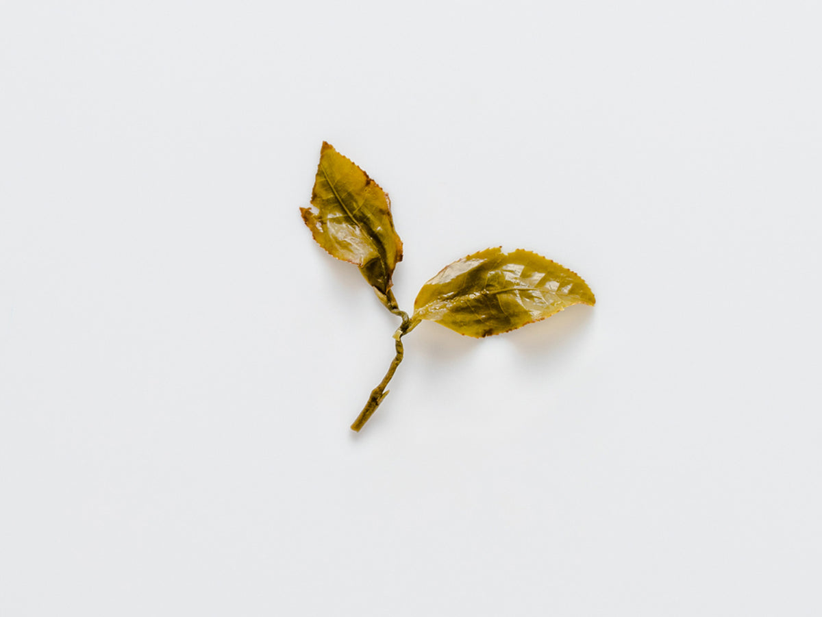Shan Lin Xi Winter Sprout. aka Dong Pian