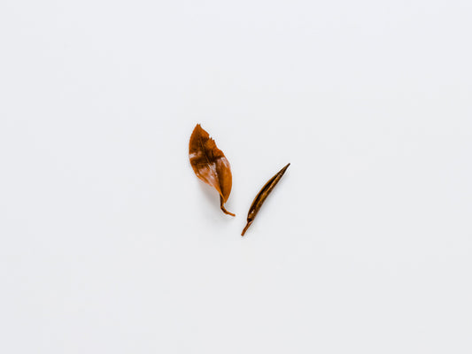 Wild Tree Yunnan Red 